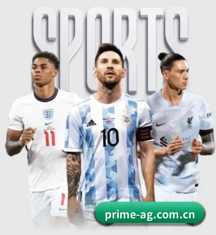 五大体育板块覆盖,从比分到直播全覆盖