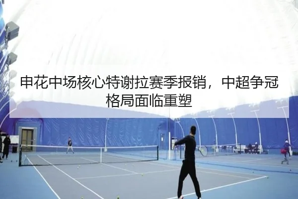 申花中场核心特谢拉赛季报销，中超争冠格局面临重塑